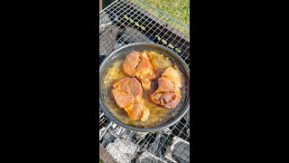 Beer BBQ Pork