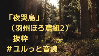 【ユルっと音読】｢夜哭烏｣(羽州ぼろ鳶組2)※抜粋※