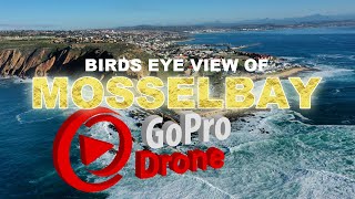 Mossel Bay The Point Mossel Bay | Mosselbaai Die Punt | Coastline \u0026 Wildlife