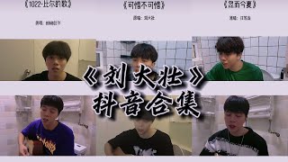 《刘大壮》抖音合集：[可惜不可惜,会不会,最,忽而今夏,1022-比尔歌]