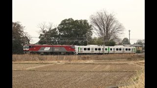 【甲種輸送】 EH500-1+阿武隈急行AB900系2両 東大宮〜蓮田通過