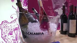 Le aziende vinicole calabresi al Wine Paris 2025