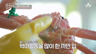 살이 꽉 차있을 가능성 UP↗↗ ★좋은 '게' 고르는 법 공개★ | 엄마의 여행 고두심이 좋아서 38 회