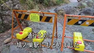 鳩ノ巣渓谷～奥多摩駅　鳩ノ巣渓谷は途中から通行止めに・・・　2022年4月11日（月）