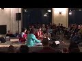 Saraswathi Ranganathan - Veena - Ragamala / World Music Festival Chicago 2018