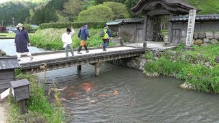 一乗谷朝倉氏遺跡(Fukui)戦国時代朝倉氏五代の城下町DiscoverJapan