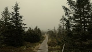 Virtual hike through Jizera mountains - from Ptačí kupy to Holubnik