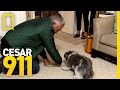 Testing Truffle's Boundaries | Cesar 911