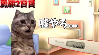 熱が41度出て死にかけた話【猫ミーム】#猫ミーム