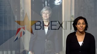 ブレグジット政局、何があったのか　閣僚辞任で英首相に圧力