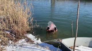 Winter swimming. Jeges fürdőzés -4 Celsius. 2022.01.21.