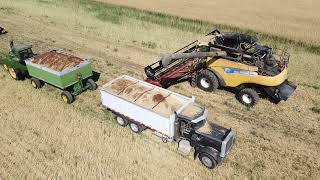 Canola Harvest 2022