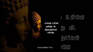 Buddha quotes in tamil | புத்தரின் பொன்மொழிகள் | motivational quotes | mind voice | #shorts