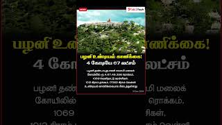 #talk2people #பழனி உண்டியல் காணிக்கை! #newsupdate #news #palani #palanimurugantemple