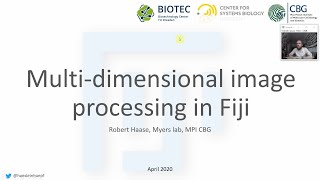 13b Multi-dimensional Image Processing in Fiji