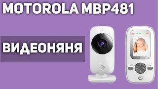 Видеоняня Motorola MBP481