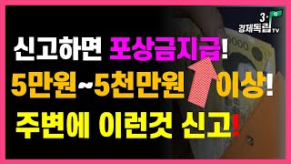 [신고하면~포상금지급!! 5만원~최대5천만원 이상!! 주변에 이런것 신고하세요!!]#포상금#위기가구 신고포상금#복지급여#3.1경제독립tv