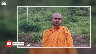 AN INTRODUCTION TO LOKUTTARA MAHAVIHAR'S NEW INITIATIVE TATHAGATACHI DHAMMAVANI | तथागताची धम्मवाणी