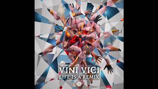 Vini Vici & Pixel - Flashback (Freedom Fighters Remix)