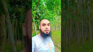 মানুষ যতটা ভালো সাজে আজও যতটা ভালো হয় #youtube