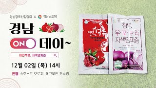 [경남ON데이] 뿌리부터 껍질까지 통째로!  우포바이오푸드 자색양파즙 (양파 함량 98%) / 품질좋은 스페인산 석류 미인석류즙