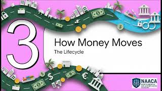 How Cartels Launder Money Through Global Networks (Sanctions Case)