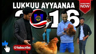 LUKKUU AYYAANAA | COMEDY AFAAN OROMOO BARA HAARAA 2016 | NEW OROMO COMEDY 2023 | HAWAA COMEDY