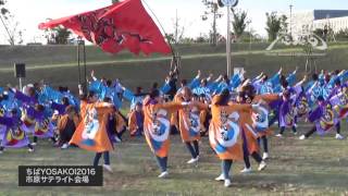 武州武蔵2016「一心」｜ちばYOSAKOI2016 市原サテライト会場