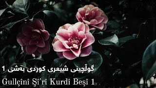 Selection of Kurdish poetry part 1 || خۆشترین گوڵچینی شیعری کوردی