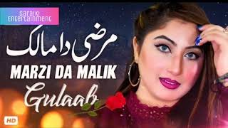Marzi Da Malik|Gulaab|New Saraiki Song 2021