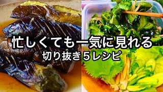 【なす・ゴーヤ】すぐ見れる短編レシピまとめ５選｜夏野菜編