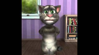 Saree Ke Fall Sa By Funny Tom Cat
