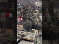 【ゴジラ博in大阪】 godzilla kaiju