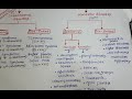 genetic disorder classification