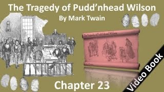 Chapter 23 - The Tragedy of Pudd'nhead Wilson - Author's Note to "Those Extraordinary Twins"