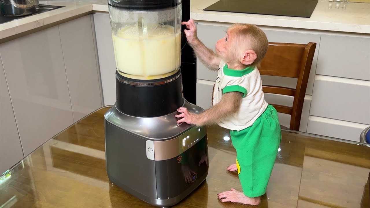 Monkey BiBi Helps Dad Cook Delicious Corn Milk! - YouTube