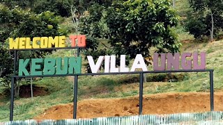 KEBUN VILLA UNGU - Objek Wisata yang Sedang Viral di Kutacane, Aceh Tenggara