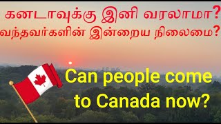 கனடாவுக்கு இனி VISITOR VISA-வில் வரலாமா?😮Can people now get a visitor visa to Canada?#tamil #canada