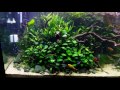 185 gallon march 20 2016