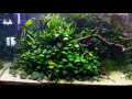 185 gallon march 20 2016