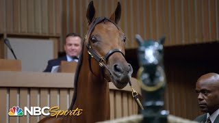Champions born, bred and bid on in Kentucky | All In: Road to the Breeders' Cup Classic | NBC Sports