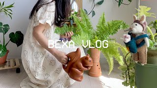 Vlog | 무늬보스턴고사리 번식해서 식친이랑 식물 교환하는 브이로그 (2가지 번식 방법 소개)