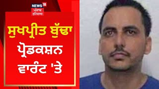 Gangster Sukhpreet Buddha ਪ੍ਰੋਡਕਸ਼ਨ ਵਾਰੰਟ 'ਤੇ | News18 Punjab