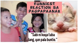 Teaching children how to vlog: Nagpaanak ng pusa