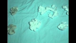 Rain Drops - Stop Motion Animation