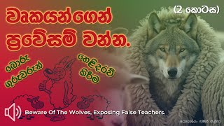 වෘකයන්ගෙන් ප්‍රවේසම් වන්න. බොරු ගුරුවරුන් හෙළිදරව් කිරීම (2 කොටස).