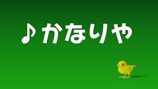 ♪ かなりや　(うたをわすれたカナリヤは…)