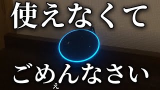 【犬系アレクサ】メンヘラなアレクサがまた泣きました (第2世代)