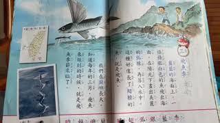 #翰林 #國語2下#蘭嶼#飛魚季 第三課  飛魚季｜達悟族｜拼板舟｜線上上課｜