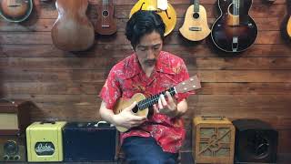 「To You Sweetheart, Aloha」Solo / SWEET STRINGS UKULELE ORCHESTRA